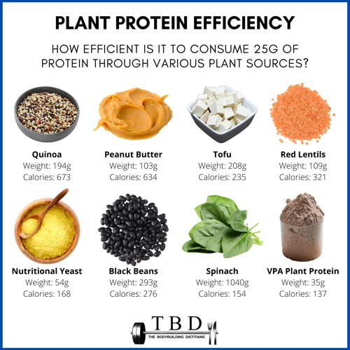 Top Plant-Based Protein Sources