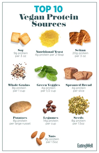 Top Vegan Sources Of Protein
