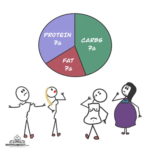 Tracking Your Macronutrient Intake