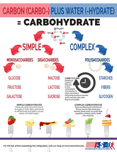 Types Of Carbohydrates