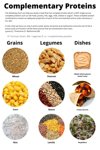 What Are Complete Proteins?