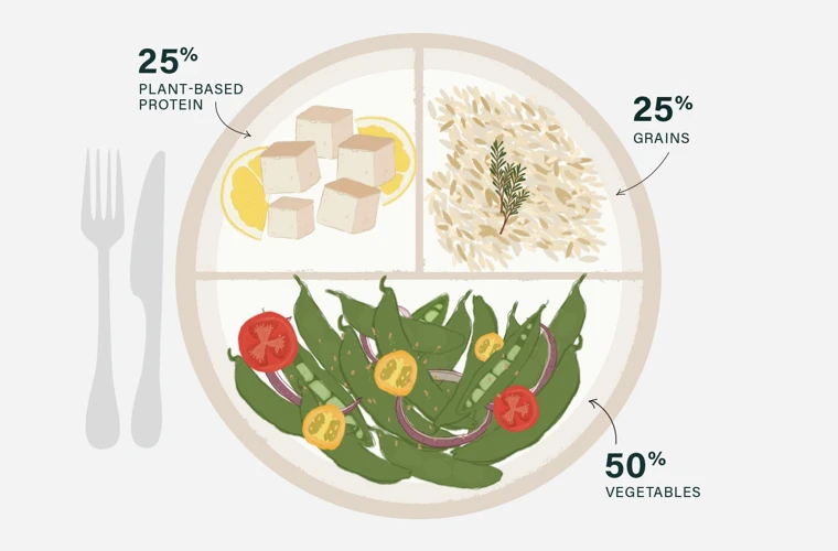 What Are Macronutrients