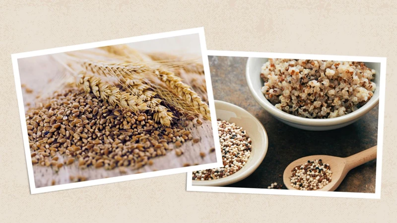 What Are Whole Grain Carbohydrates?