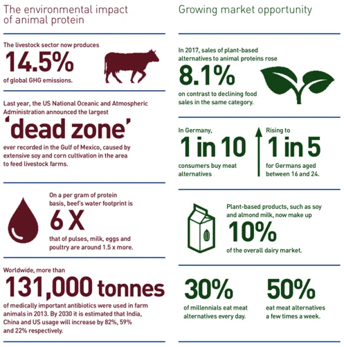 What Is Environmental Impact?