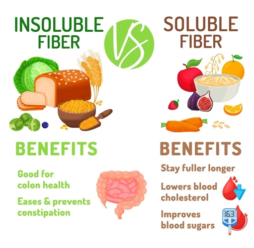 What Is Fiber?