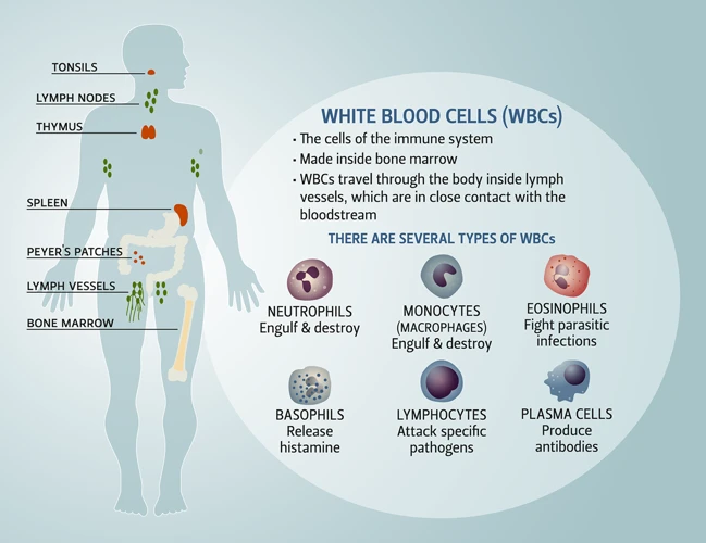 Where To Find Micronutrients?