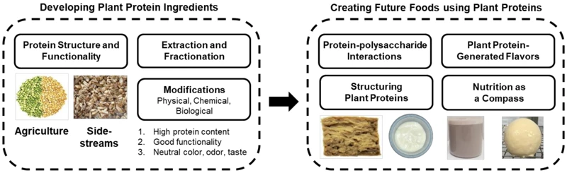 Why Choose Non-Soy Protein?