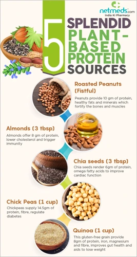 Why Choose Plant-Based Protein?