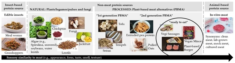 Why Choose Plant-Based Proteins?