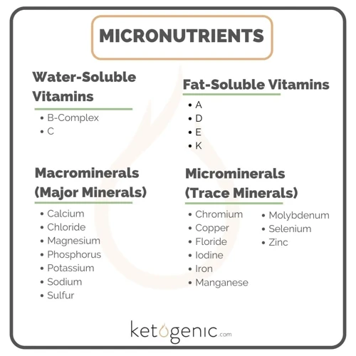 Why Do We Need Micronutrients?