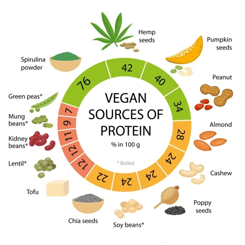 Why Is Protein Important?