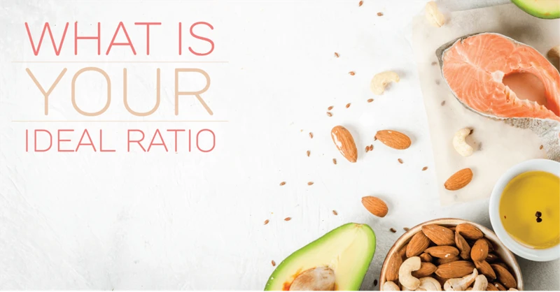 Why Macronutrient Intake Matters