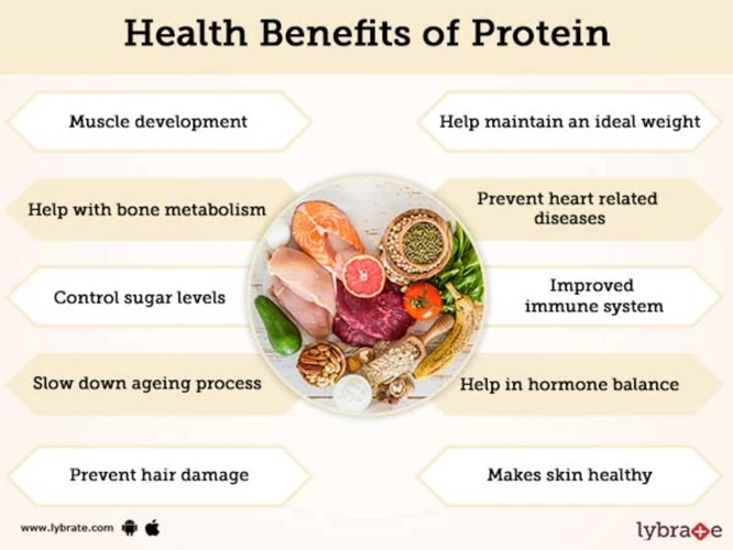 Why Protein Is Essential?